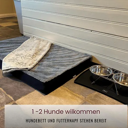 Haus Asgard Ferienhaus Hüttenrode