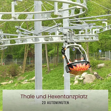 Tatil Evi Haus Asgard Perfect Fuer Familien Mit Kleinkinder Und Hund, Zentral Gelegen Im Harz *